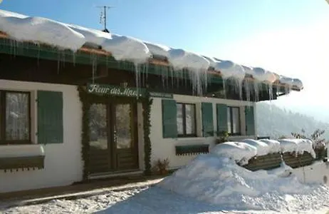Chalet Fleur des Alpes Les Gets France