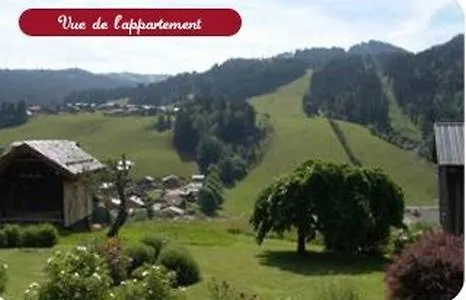 Chalet Fleur Des Alpes Les Gets